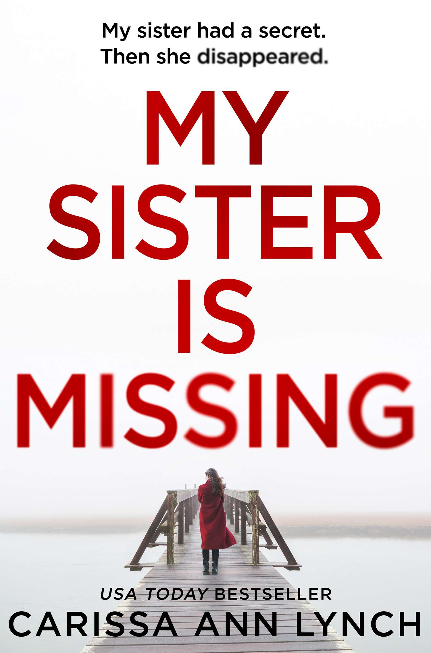 My Sister Is Missing cover